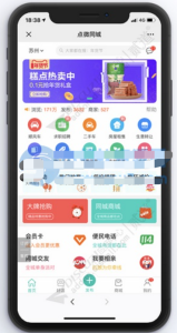 点微同城 30.0 完整版（含全部插件）-源码乐园